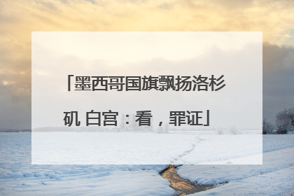 墨西哥国旗飘扬洛杉矶 白宫：看，罪证