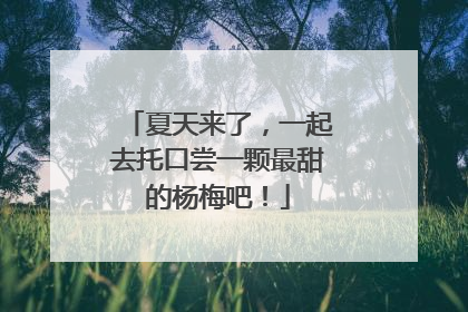 夏天来了，一起去托口尝一颗最甜的杨梅吧！