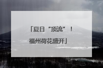 夏日“顶流”！福州荷花盛开