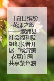 夏日缤纷·花漾之旅——溆浦县社会福利院组织长者开展“畅游薰衣草庄园 共享紫色浪漫”户外活动
