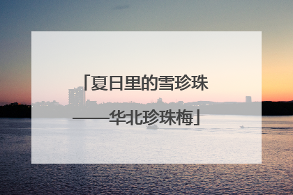 夏日里的雪珍珠——华北珍珠梅