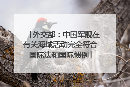 外交部：中国军舰在有关海域活动完全符合国际法和国际惯例