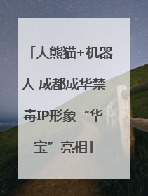 大熊猫+机器人 成都成华禁毒IP形象“华宝”亮相