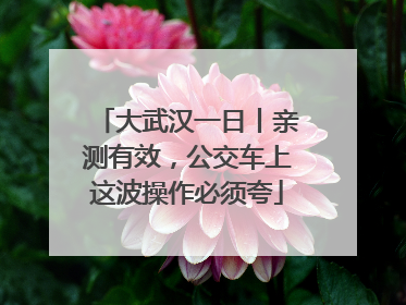 大武汉一日丨亲测有效，公交车上这波操作必须夸