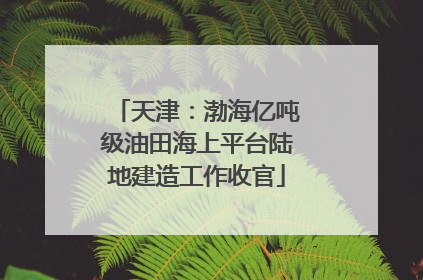 天津：渤海亿吨级油田海上平台陆地建造工作收官