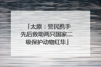 太原：警民携手 先后救助两只国家二级保护动物红隼