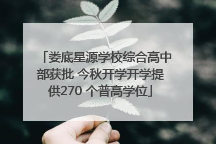 娄底星源学校综合高中部获批 今秋开学开学提供270 个普高学位