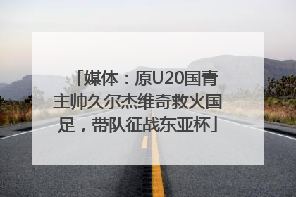 媒体：原U20国青主帅久尔杰维奇救火国足，带队征战东亚杯