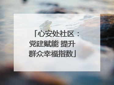 心安处社区：党建赋能 提升群众幸福指数