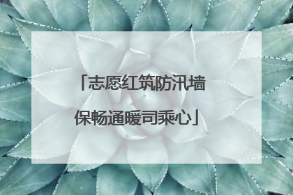 志愿红筑防汛墙 保畅通暖司乘心