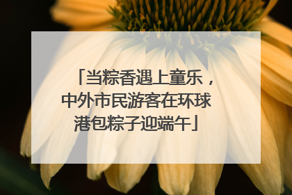 当粽香遇上童乐，中外市民游客在环球港包粽子迎端午
