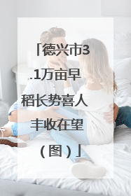 德兴市3.1万亩早稻长势喜人 丰收在望（图）