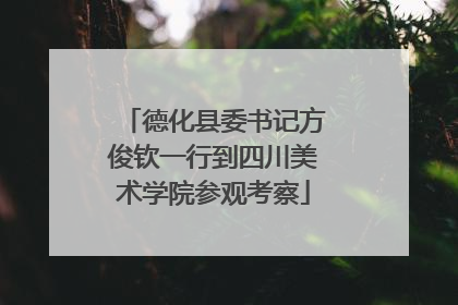 德化县委书记方俊钦一行到四川美术学院参观考察