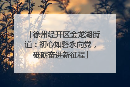 徐州经开区金龙湖街道：初心如磐永向党，砥砺奋进新征程