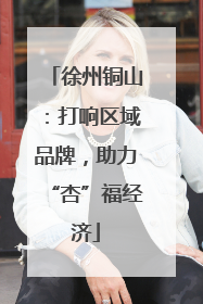 徐州铜山：打响区域品牌，助力“杏”福经济