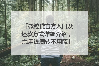 微粒贷官方入口及还款方式详细介绍，急用钱周转不用慌