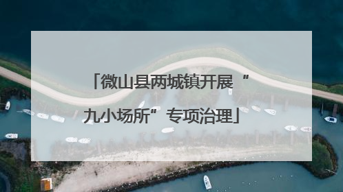 微山县两城镇开展“九小场所”专项治理