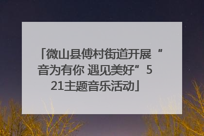 微山县傅村街道开展“音为有你 遇见美好”521主题音乐活动