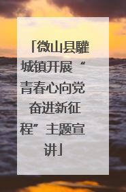 微山县驩城镇开展“青春心向党 奋进新征程”主题宣讲