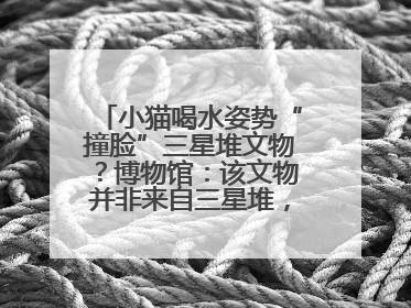 小猫喝水姿势“撞脸”三星堆文物？博物馆：该文物并非来自三星堆，有可能是它
