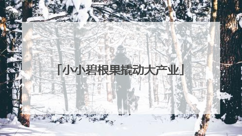 小小碧根果撬动大产业