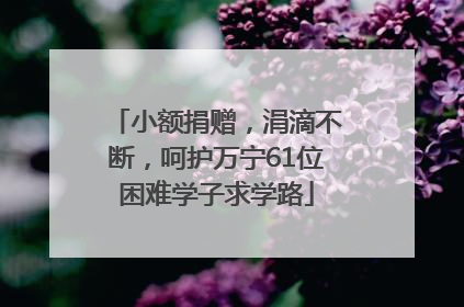 小额捐赠，涓滴不断，呵护万宁61位困难学子求学路