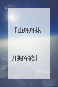 山丹丹花开拥军路