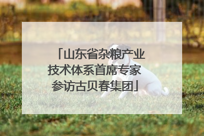 山东省杂粮产业技术体系首席专家参访古贝春集团