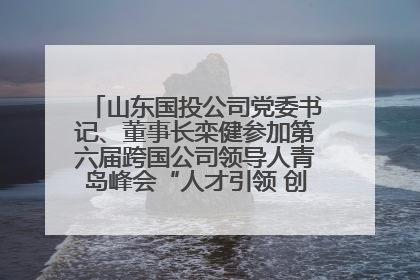 山东国投公司党委书记、董事长栾健参加第六届跨国公司领导人青岛峰会“人才引领 创新驱动”人力资源高质量发展对话会