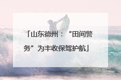 山东德州：“田间警务”为丰收保驾护航