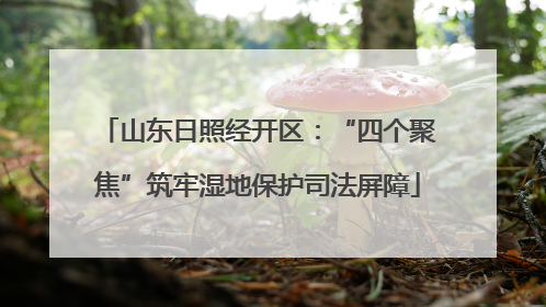山东日照经开区：“四个聚焦”筑牢湿地保护司法屏障