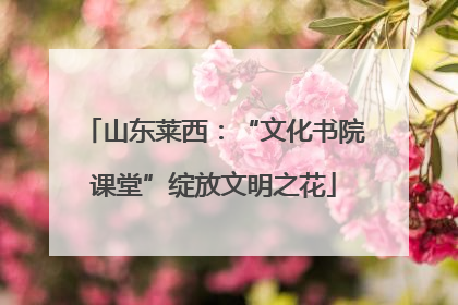 山东莱西：“文化书院课堂”绽放文明之花
