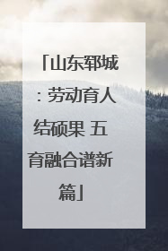 山东郓城：劳动育人结硕果 五育融合谱新篇