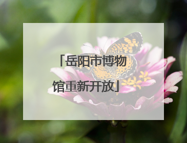 岳阳市博物馆重新开放