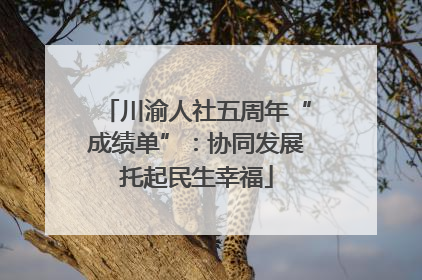 川渝人社五周年“成绩单”：协同发展托起民生幸福