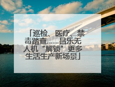 巡检、医疗、禁毒踏查……昌乐无人机“解锁”更多生活生产新场景