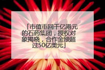 市值重回千亿港元的石药集团，授权对象揭晓，合作金额超过50亿美元