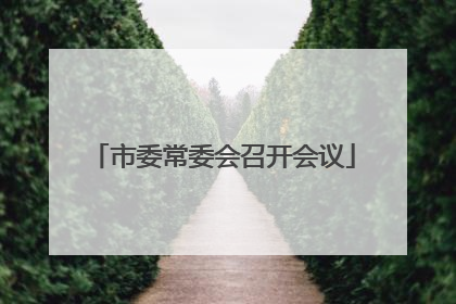 市委常委会召开会议