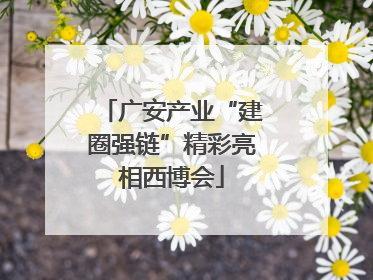 广安产业“建圈强链”精彩亮相西博会