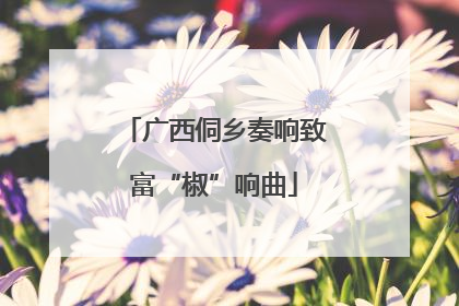 广西侗乡奏响致富“椒”响曲