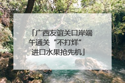 广西友谊关口岸端午通关“不打烊” 进口水果抢先机