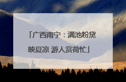 广西南宁：满池粉黛映夏凉 游人赏荷忙