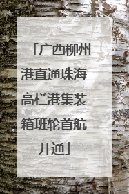 广西柳州港直通珠海高栏港集装箱班轮首航开通