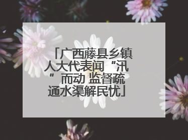 广西藤县乡镇人大代表闻“汛”而动 监督疏通水渠解民忧