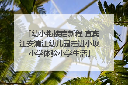 幼小衔接启新程 宜宾江安淯江幼儿园走进小坝小学体验小学生活