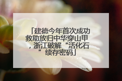建德今年首次成功救助放归中华穿山甲，浙江破解“活化石”续存密码