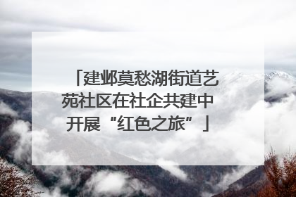 建邺莫愁湖街道艺苑社区在社企共建中开展“红色之旅”