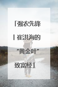 强农先锋丨崔洪海的“黄金叶”致富经