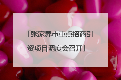 张家界市重点招商引资项目调度会召开