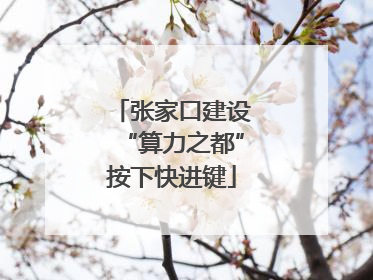 张家口建设“算力之都”按下快进键